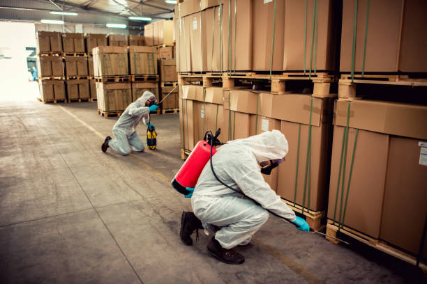Best Pest Control Near Me  in Trenton, MI