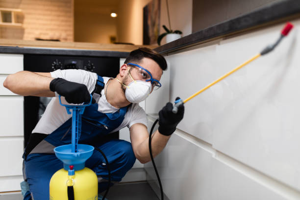 Best Pest Inspection Near Me  in Trenton, MI