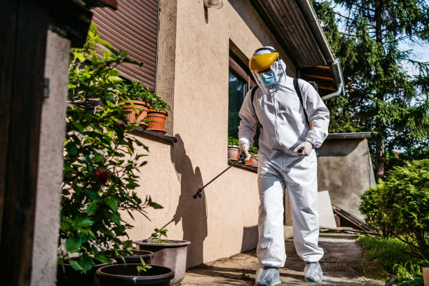 Best Mosquito Control Services  in Trenton, MI
