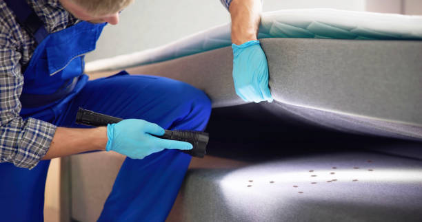 Best Flea Control Services  in Trenton, MI