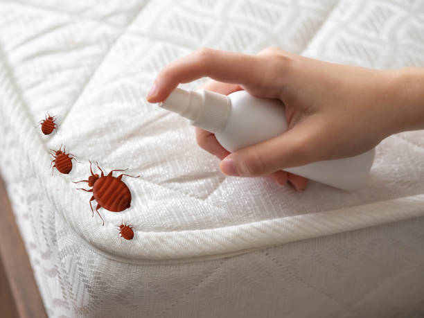 Best Pest Removal Services  in Trenton, MI