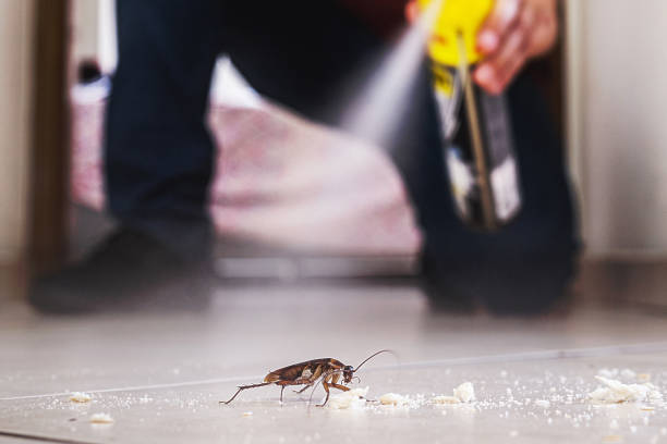 Best Residential Pest Control  in Trenton, MI