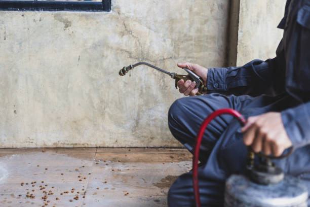 Best Wasp Removal Services  in Trenton, MI